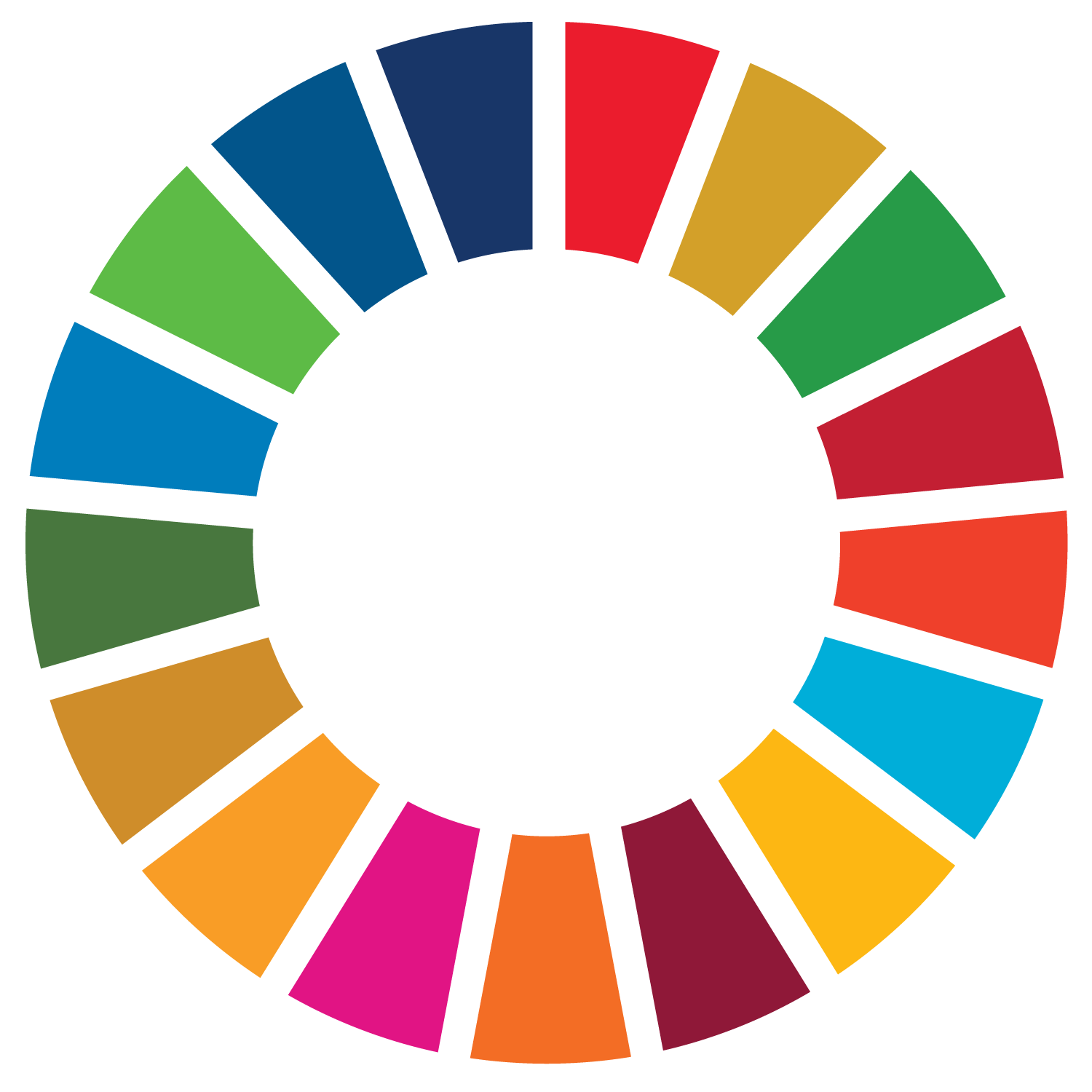 SDG_Wheel_PRINT_Transparent.png